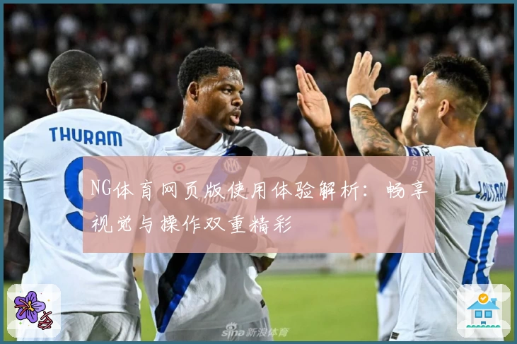 NG体育网页版使用体验解析：畅享视觉与操作双重精彩